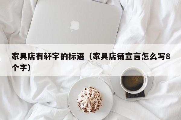 家具店有轩字的标语（家具店铺宣言怎么写8个字）
