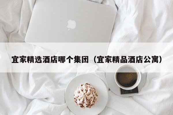 宜家精选酒店哪个集团(宜家精品酒店公寓)